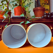 Cheinco Floral Canisters