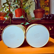 Cheinco Floral Canisters