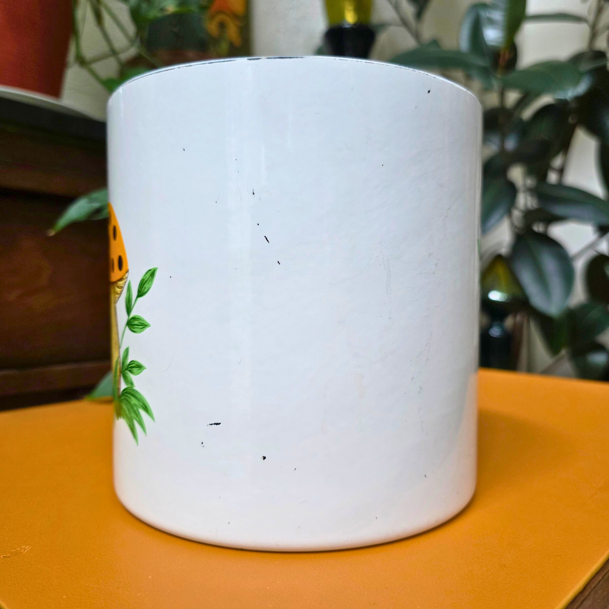Merry Mushroom Canisters