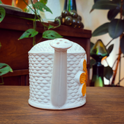 Ceramic Glaze Watering Can